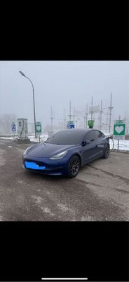 Tesla Model 3 Performance