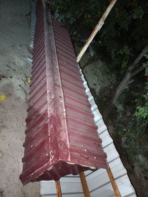 Devorni ustiga tomcha yangi