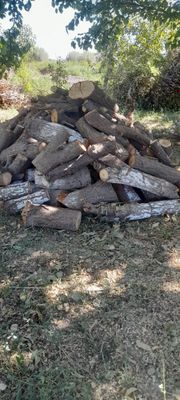 Тароша утин сотилади