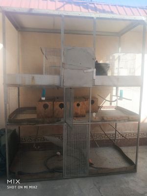 Qushlarga qafas 3 etajlik