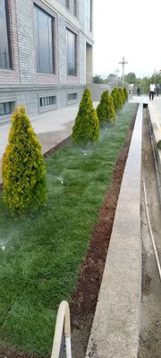 Boğbon xizmati ..