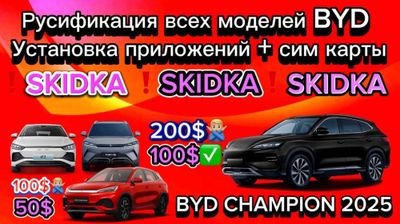 Русификатсия любой автомобили BYD (500.000)