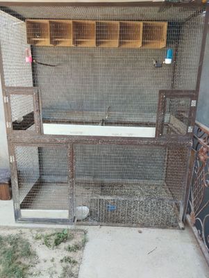 Qafas sotiladi tovuqlar va qushlar uchun