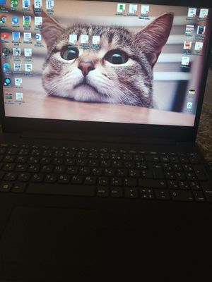 Lenovo V15-IIL i3 4G 1T DOS