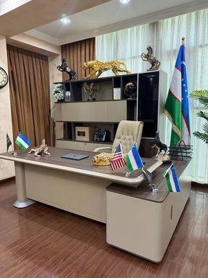 Ofic uchun direktor jihozlari