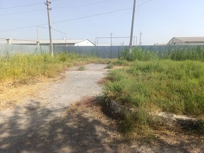 Камични илдизи бн йук киламиз гарантия