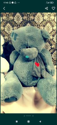 Teddy ayiqchalari