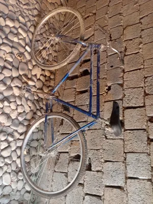 28 velosiped narxi 600 000 ming kami bor