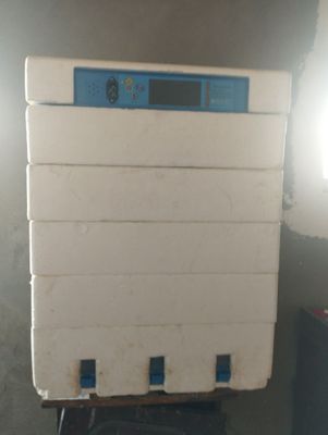 210 talik inkubatir