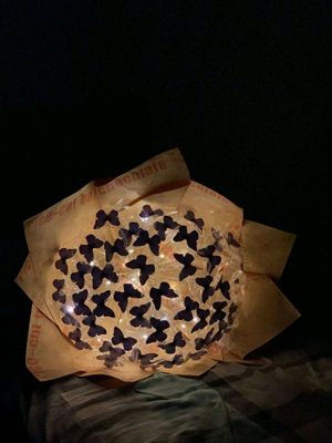 Kapalak buket