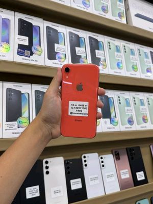 iPhone XR