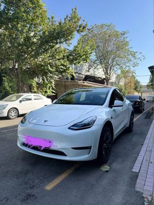 Tesla Model Y Long Range dual motor 2022
