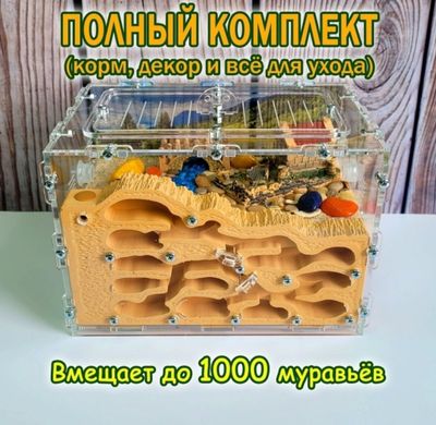 Продаётся необычная муравьиная ферма.