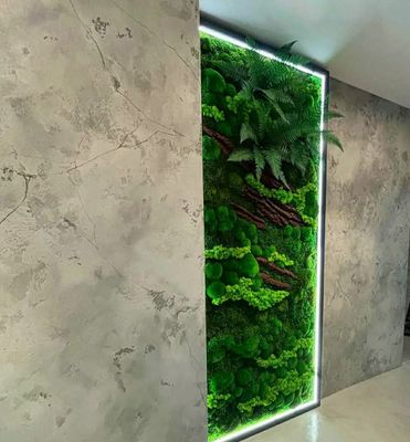 Decor rasimlar Uy,ofislar uchun tabiy gullar
