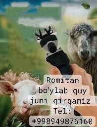 Qoʻy qirqamiz Romita boʻylab chetga ham chiqamiz 10 tada kup busa soni