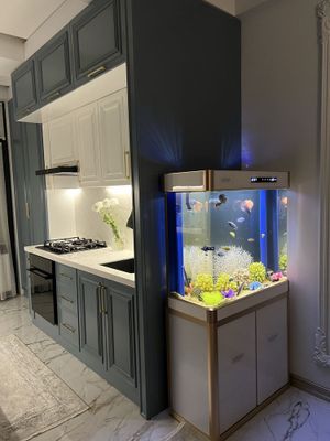 akvarium sebo shikarniy akvarium….