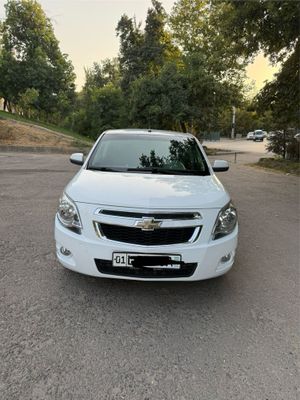 Koblt sotladi 2019