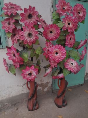 sotiladi arzon narda