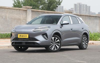 Byd Sea Lion 06 EV на заказ Mix Motors