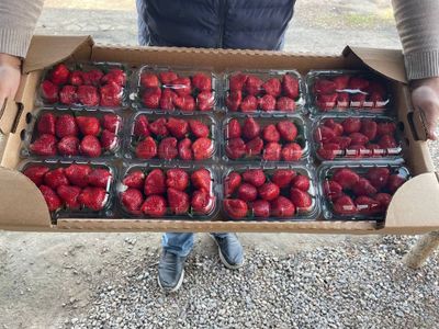 Контернеры 500 сум/шт