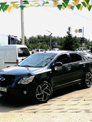 Cobalt 2023/24 Full Navarot