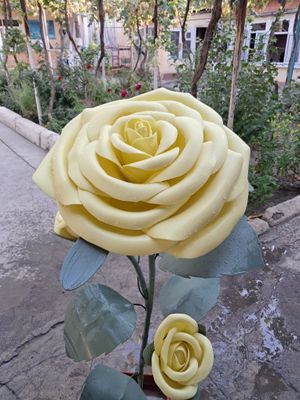 изалон гул сотилади