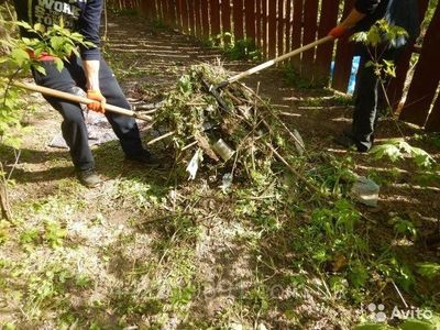 Приведём в порядок ваш палисадник. Огород и участок.