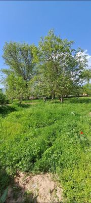 Участка продается. Uy sotiladi hovli 12 sotka