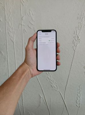 iphone 12 64gb 76%