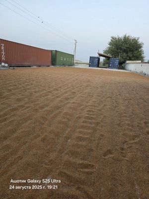 Тарик, 100 тонна к,изил
