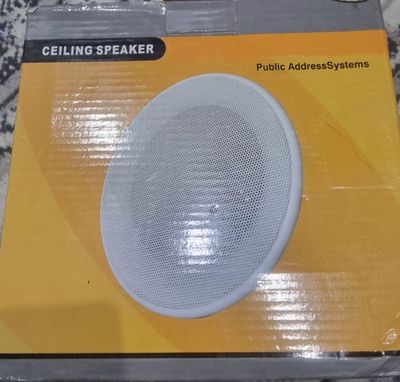 Potolochniy kolonka speaker