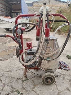 holati aʼlo darajada