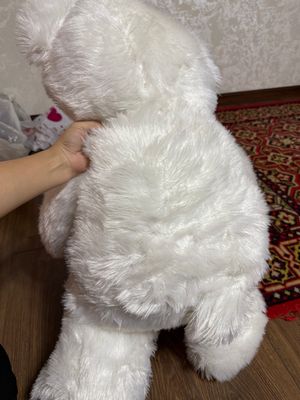 белый медведь, новый