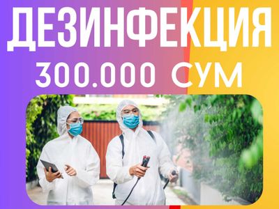 Дезинфекция насекомых тараканов и клопов дезинфекция клапа уничтожение