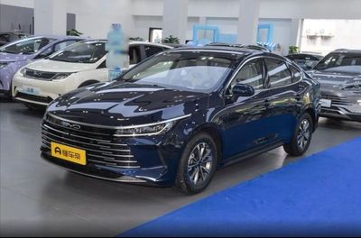 BYD Chazor 2024 DM-i 55 km Luxury Glory Edition