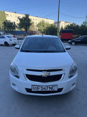 Arenda Cobolt ideal