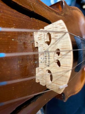 Скрипка мастерская профессиональная со смычком