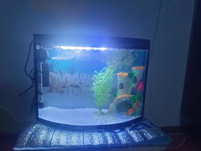 Продаётся аквариум
