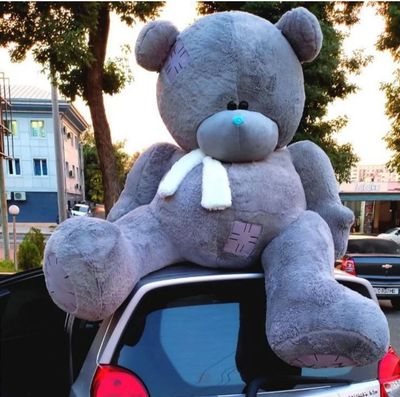 Оптим: Мишка AYIQ Teddy 1m,2m,3m,Тедди 45sm 60sm 75sm