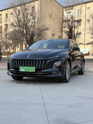 Hongqi eqm5 arenda c викуб