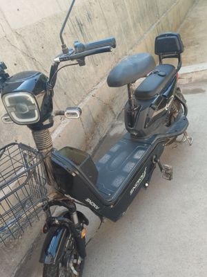 Skuter demansh 2024