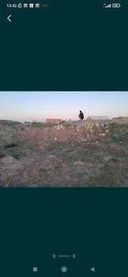 4 soʻtik fundament qilingan