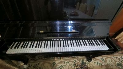Pionino sotiladi БЕЛОРУСЬ juda yaxshi va arzon