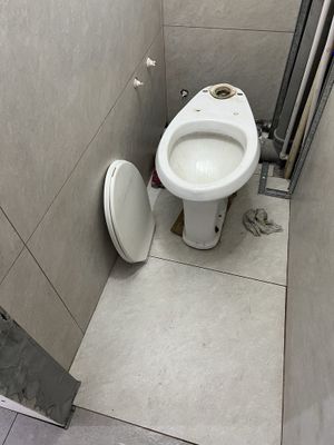 Унитаз с бочком и урышкой все рабочее целое
