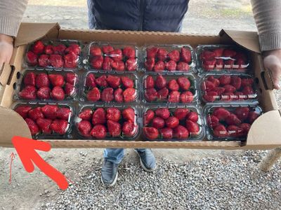 Коробки и контейнеры 150 сум