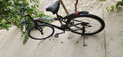 VELOSIPED zori dan