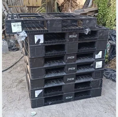 Продам Подон. 6 Шт в наличие..