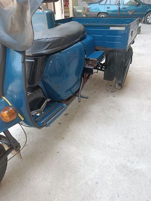 Motorol (муравей)