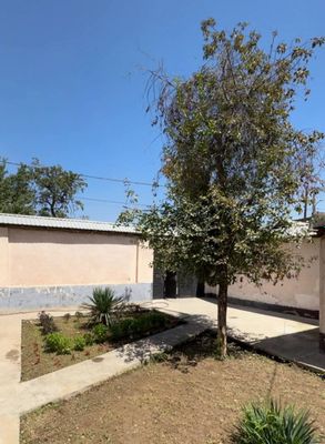 Teng yarim narxida sotuvga qo'yilgan Xovli-Yer. Samarqand darvoza.