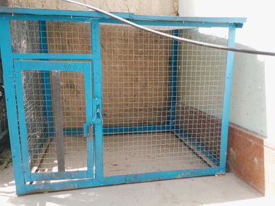 Kattak srochna sotiladi Yangi dakan jojalar ham bo